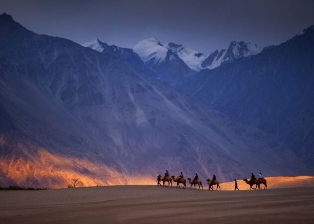 GettyImages-469085179-5c6ce9b346e0fb0001e6e812